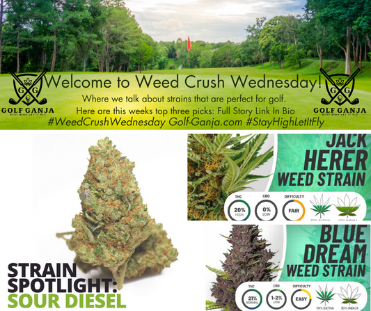 Welcome to Weed Crush Wednesday: the surprising connection between golf and cannabis.